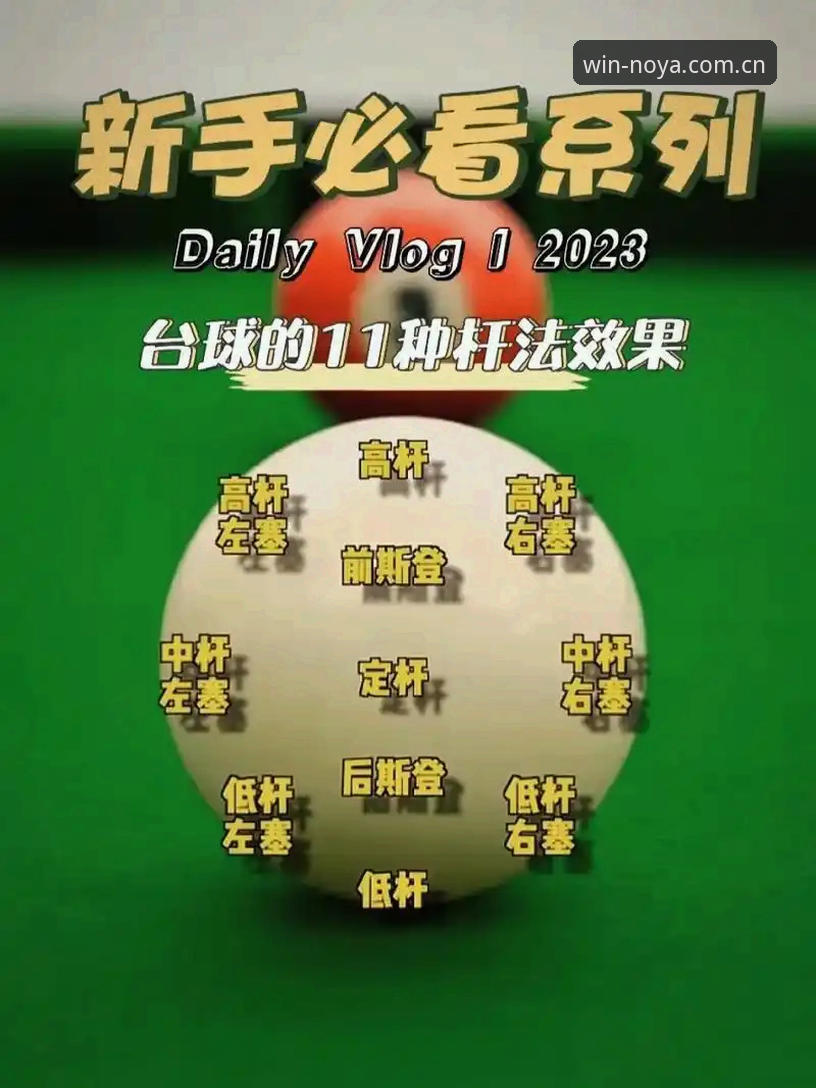 诺亚体育专业竞猜平台实用指南：从入门到精通的必备知识